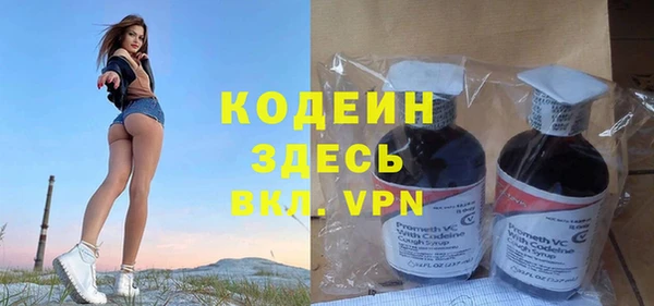 мдпв Краснослободск