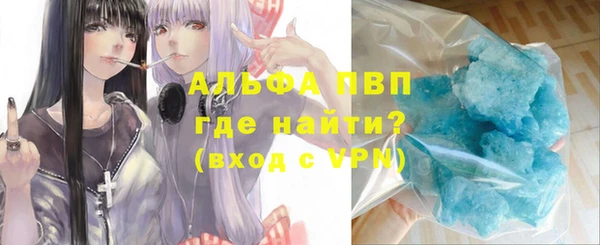 прущие грибы Билибино