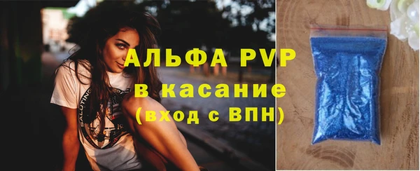 прущие грибы Билибино