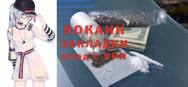 сатива Кодинск