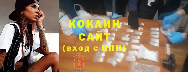 индика Краснотурьинск