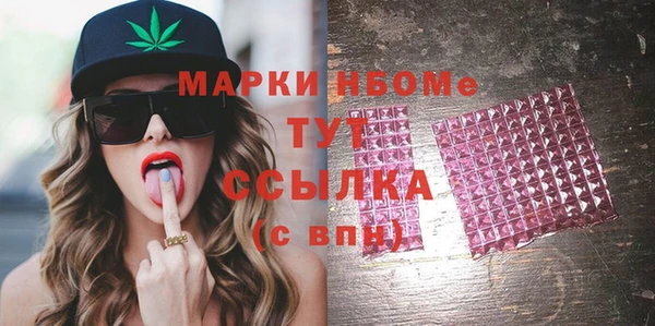 индика Краснотурьинск