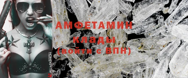 прущие грибы Билибино