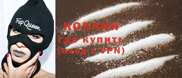 прущие грибы Билибино