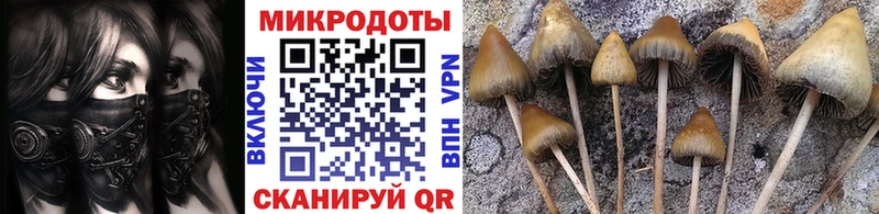Галлюциногенные грибы ЛСД  Качканар 