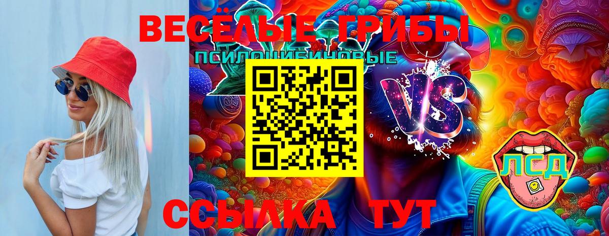 Галлюциногенные грибы Magic Shrooms Качканар