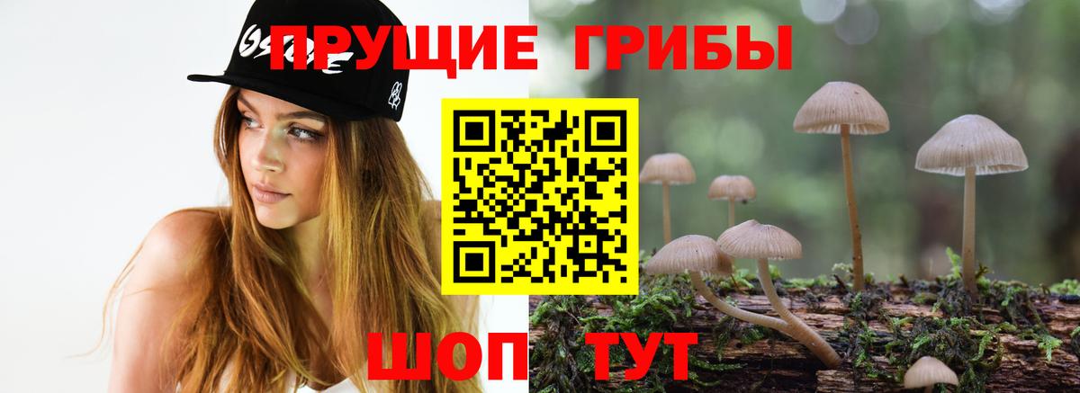 Псилоцибиновые грибы GOLDEN TEACHER  Вход с VPN  Качканар 