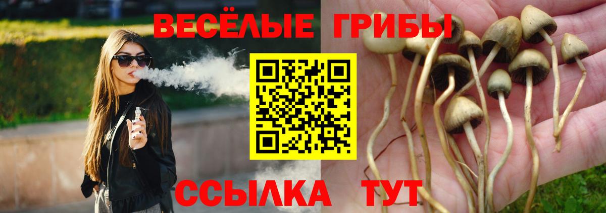 Галлюциногенные грибы Psilocybine cubensis Качканар